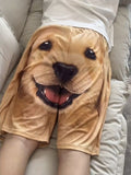 Cute Golden Retriever Shorts